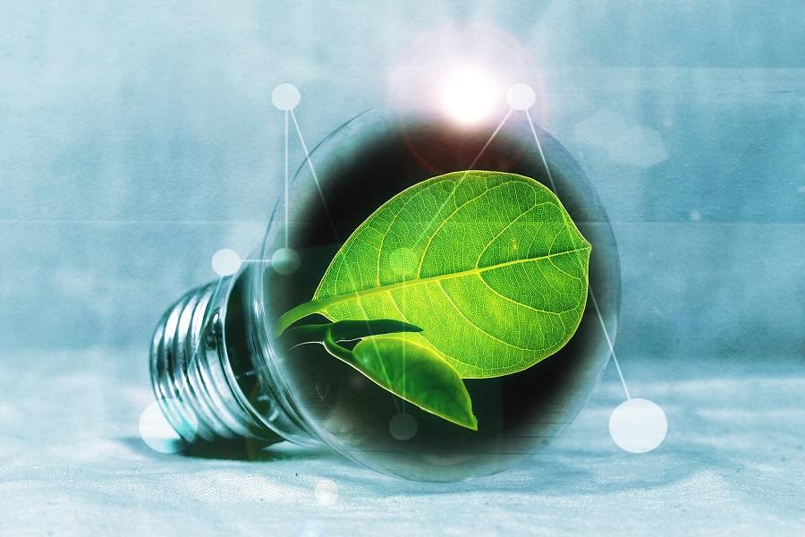 Live More Efficiently With A Home Energy Management System